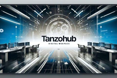 Tanzohub