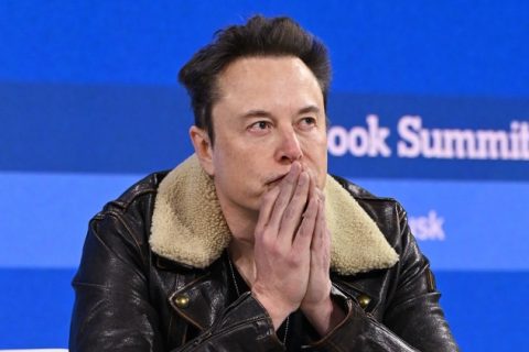 Elon Musk AI Trading